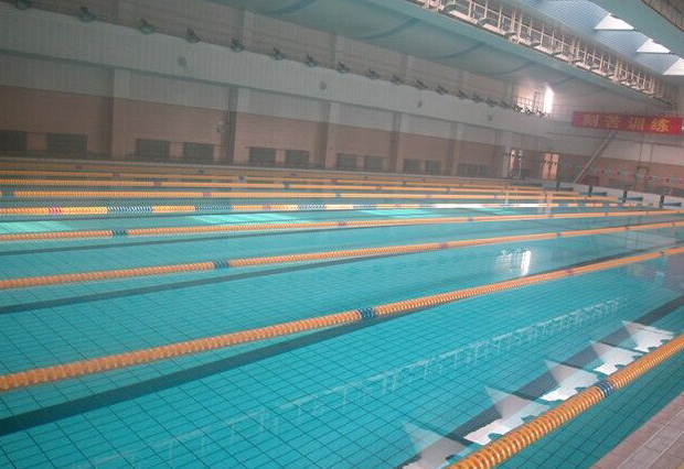 廣州珠島賓館康樂中心游泳池為室內(nèi)恒溫標(biāo)準(zhǔn)泳池，泳池水處理系統(tǒng)采用西班牙ASTRALPOOL品牌泳池設(shè)備，恒溫系統(tǒng)采用西班牙ASTRALPOOL品牌空氣源熱泵和三集一恒溫除濕一體機(jī)，我司提供技術(shù)支持及設(shè)備安裝服務(wù)。
